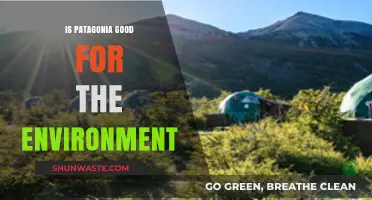 Is Patagonia Truly Eco-Friendly? Uncovering Its Environmental Impact and Efforts