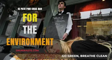 Foie Gras and the Environment: Uncovering the Ecological Impact of Pate