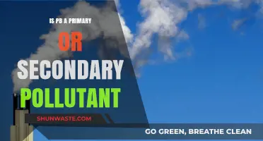 PB: Primary or Secondary Pollutant?