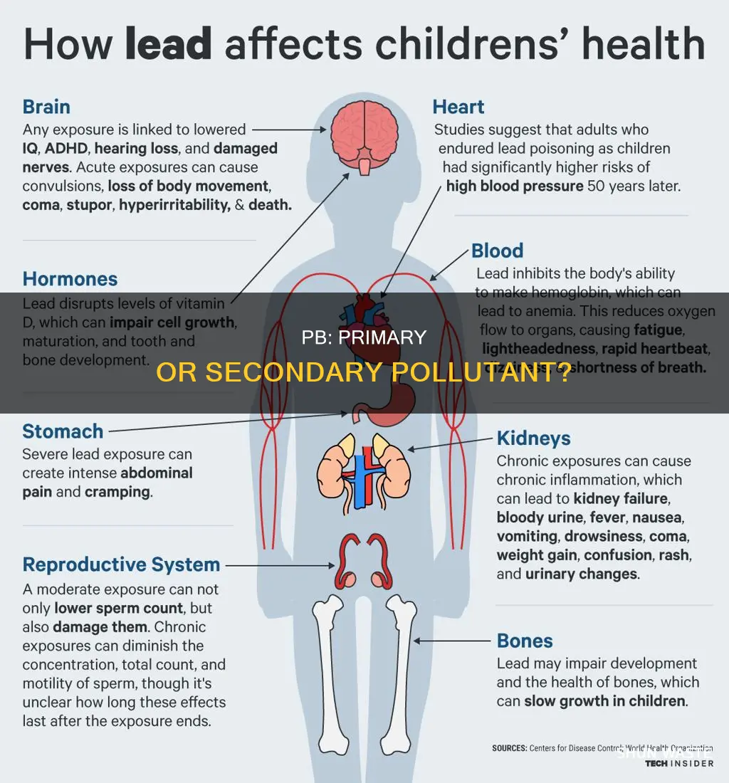 is pb a primary or secondary pollutant