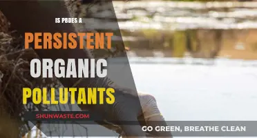 PBDEs: Persistent Organic Pollutants in Our Midst