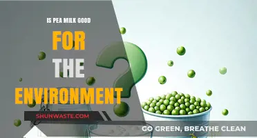 Is Pea Milk Eco-Friendly? Exploring Its Environmental Impact and Benefits