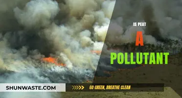 Peat: Friend or Foe in the Climate Crisis?