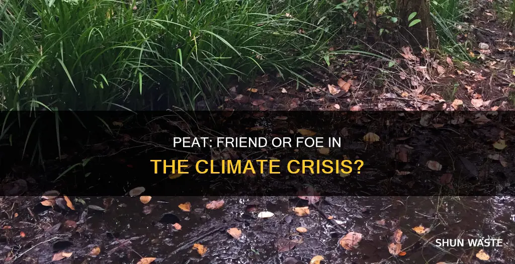 is peat a pollutant