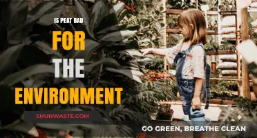 Peat's Environmental Impact: Uncovering the Hidden Costs of Its Use