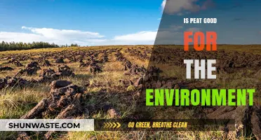 Peat's Environmental Impact: Sustainable Resource or Ecological Threat?