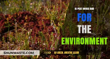 Peat Moss Environmental Impact: Sustainable Gardening or Ecological Harm?