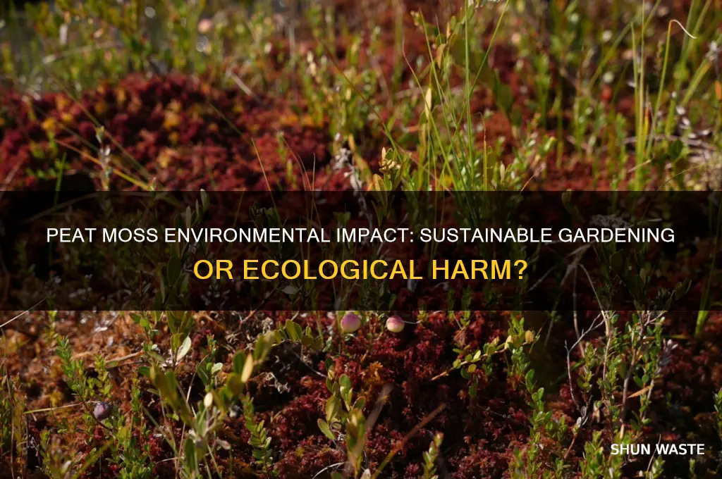 is peat moss bad for the environment
