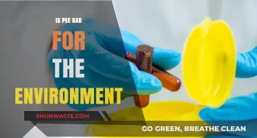 Is Human Urine Harmful to the Environment? Surprising Facts Revealed