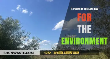 Peeing in Lakes: Environmental Impact and What You Need to Know