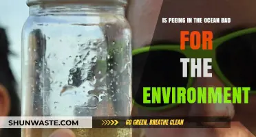 Ocean Urination: Environmental Impact of Peeing in the Sea