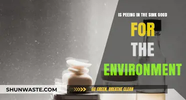 Sink or Swim: Is Peeing in the Sink Eco-Friendly?