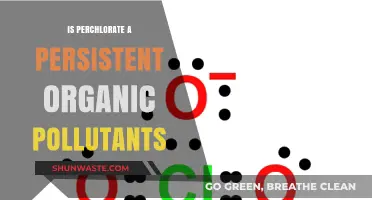 Perchlorate: Persistent Pollutant or Not?