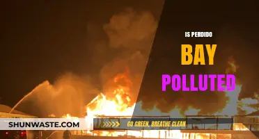 Perdido Bay's Pollution Problem: Is It Getting Worse?