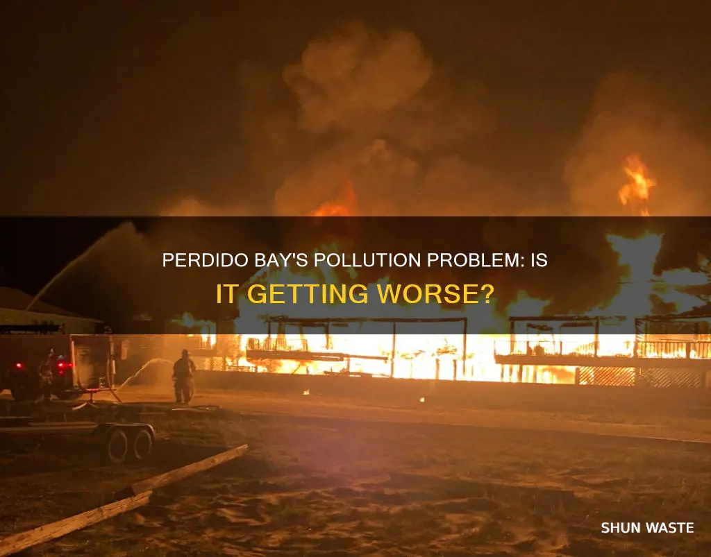is perdido bay polluted