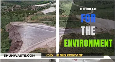 Is Perlite Eco-Friendly? Environmental Impact and Sustainable Alternatives