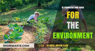 Permaculture's Environmental Impact: Sustainable Practices for a Greener Future