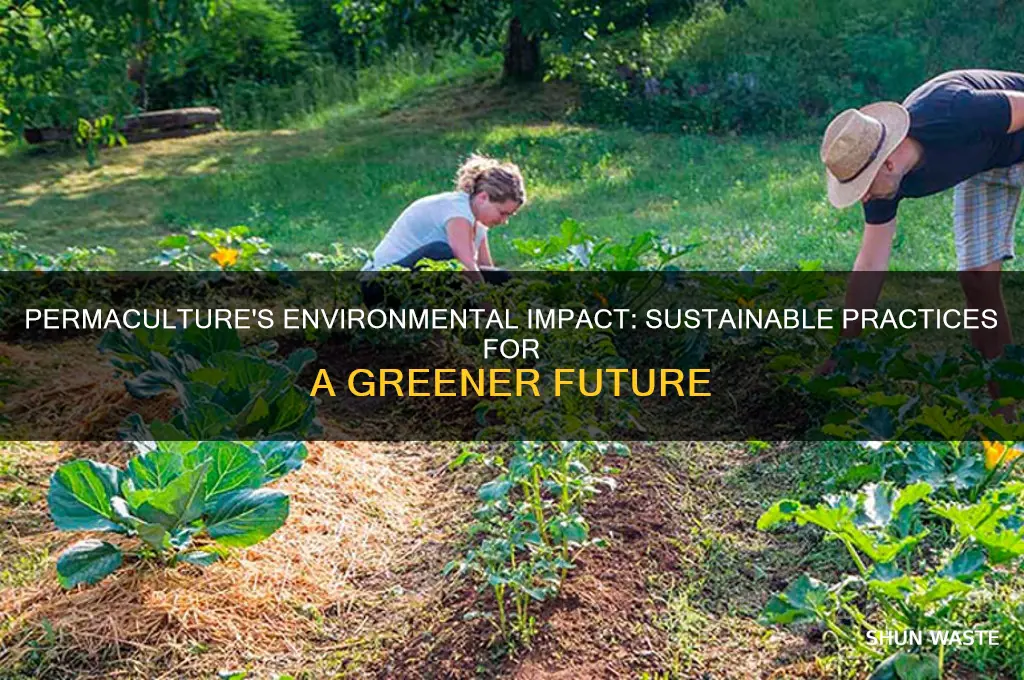 is permaculture good for the environment