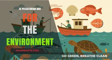 Is Pescatarian Diet Eco-Friendly? Environmental Impact Explained