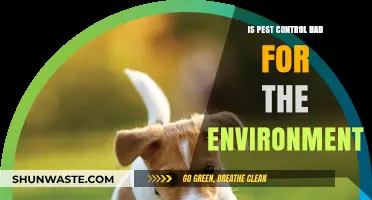 Eco-Friendly Pest Control: Balancing Pest Management and Environmental Impact