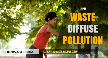 Pet Waste: Understanding Its Impact on Diffuse Pollution