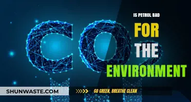 Petrol's Environmental Impact: Harmful Effects and Sustainable Alternatives Explored