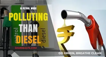Petrol vs Diesel: Which Fuel Pollutes More?