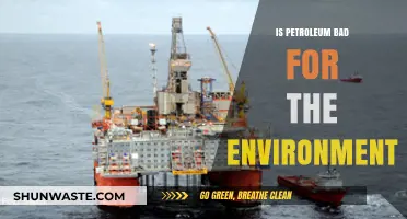 Petroleum's Environmental Impact: Harmful Effects and Sustainable Alternatives Explored