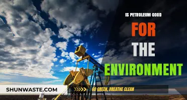 Petroleum's Environmental Impact: Benefits, Drawbacks, and Sustainable Alternatives