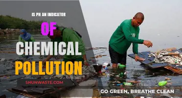 How pH Levels Indicate Chemical Pollution