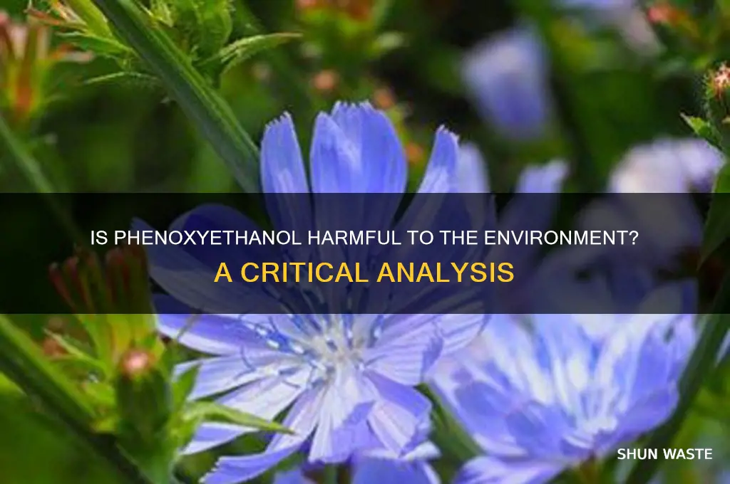 is phenoxyethanol bad for the environment