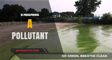 Phosphorus: A Pollutant or a Necessary Evil?