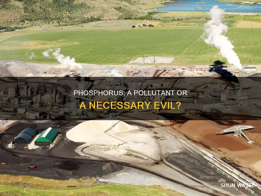 is phosophorus a pollutant
