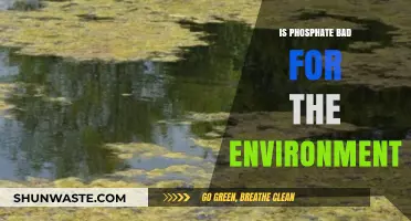 Phosphate's Environmental Impact: Uncovering Its Hidden Ecological Consequences