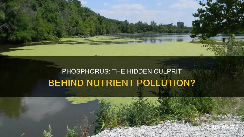 is phosphorus cause nutrient pollution