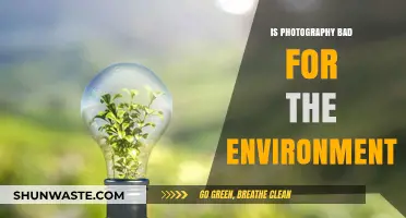 Photography's Environmental Impact: Sustainable Practices for Eco-Conscious Photographers