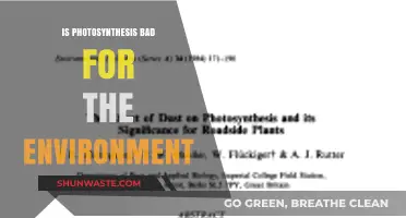 Is Photosynthesis Harmful? Debunking Myths About Its Environmental Impact