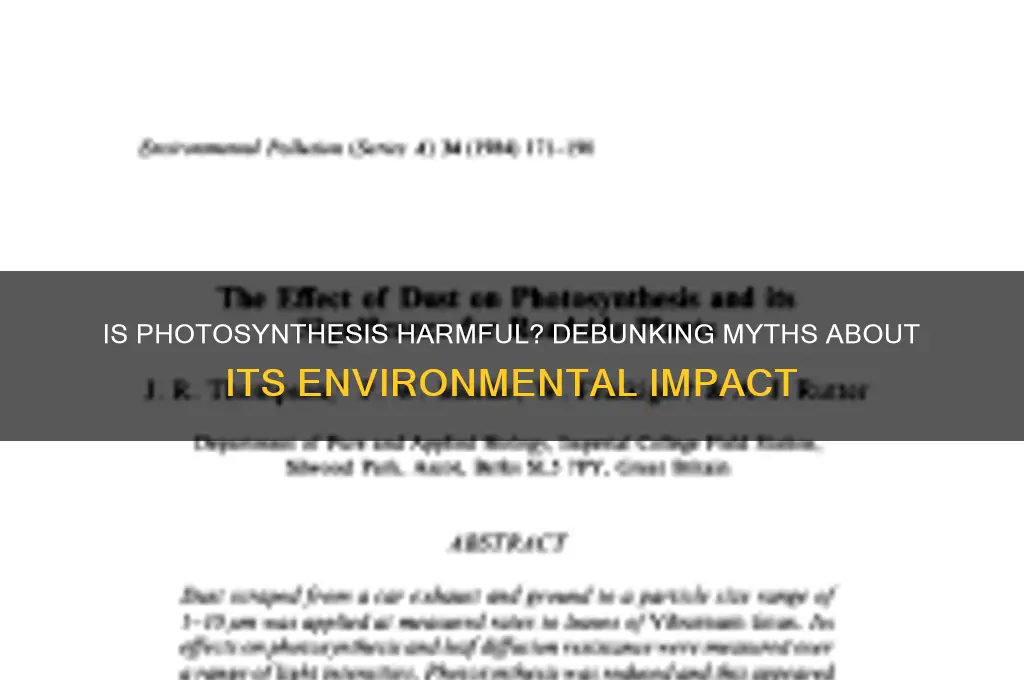 is photosynthesis bad for the environment