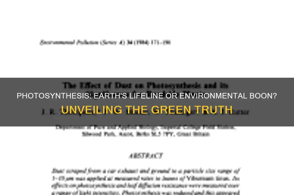 is photosynthesis good for the environment