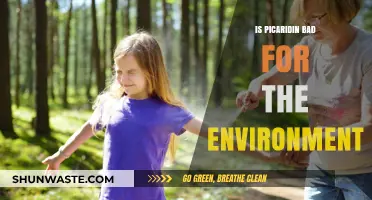 Picaridin's Environmental Impact: Safe or Harmful for Ecosystems?