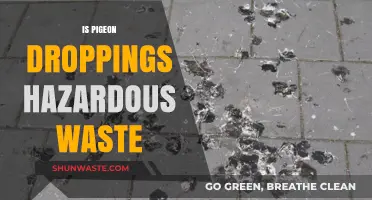 The Hidden Dangers of Pigeon Droppings: A Hazardous Waste Concern