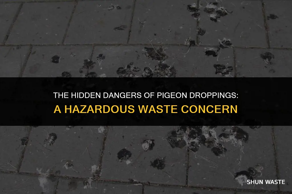 is pigeon droppings hazardous waste