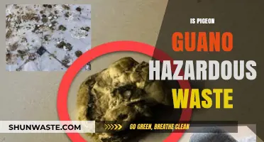 The Scoop on Pigeon Poop: Is It Really Hazardous Waste?
