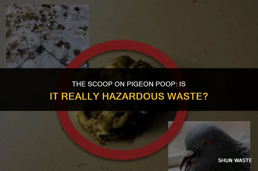 is pigeon guano hazardous waste