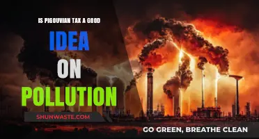 Pigouvian Tax: Pollution Solution or Economic Burden?