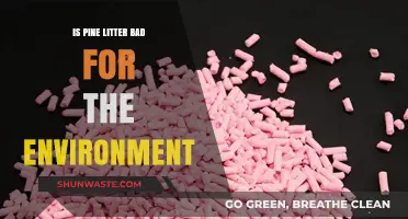 Pine Litter's Environmental Impact: Sustainable Choice or Eco-Hazard?
