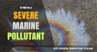 Pine Oil: A Marine Pollutant?