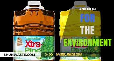 Pine Sol's Environmental Impact: A Deep Dive into Its Eco-Friendliness