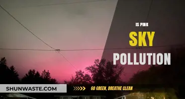 The Pink Sky: Pollution or Wonder?