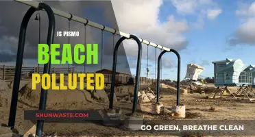 Pismo Beach Pollution: Is It Safe to Swim?